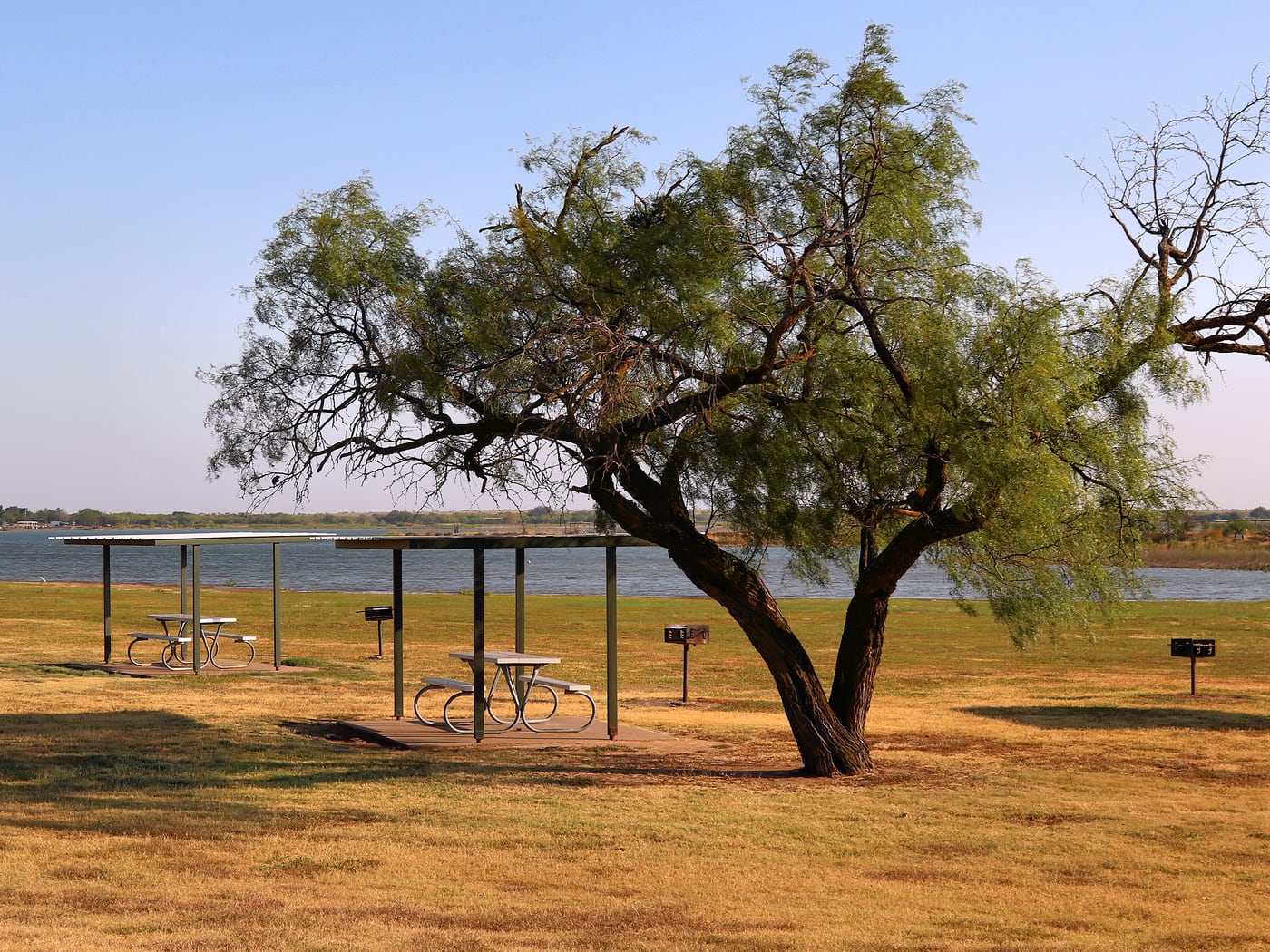 Mesquite and open ground by Horseshoe RV Park, Ranger — representative imagery, not a specific Horseshoe RV Park photo
